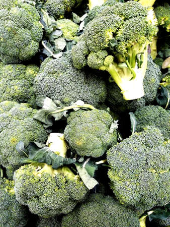 Colorful heads of broccoli cabbage. Vegetables. Background