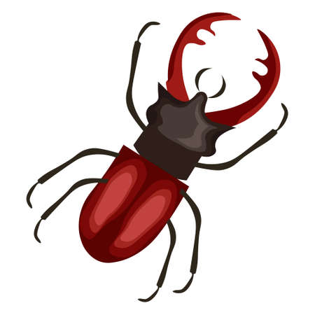 Illustration, cute multicolored May beetle, insect. Graphic design for postcard, print, doodle, stickerのイラスト素材