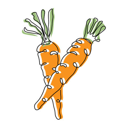 Vegetable illustration, line art. Carrots, black line with the addition of colored spots. Minimal design, doodle, iconのイラスト素材