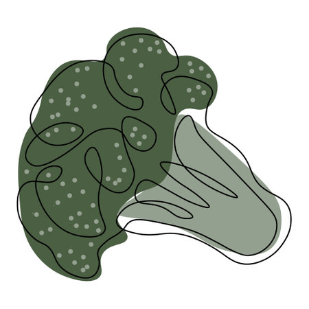 Vegetable illustration, line art. Broccoli, black line with the addition of colored spots. Minimal design, doodle, printのイラスト素材