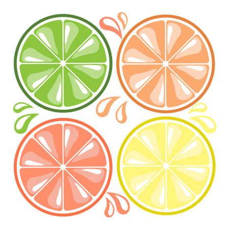 Citrus illustration. Lemons, oranges, limes, grapefruits, slices and drops of juice.Pastel colorsのイラスト素材