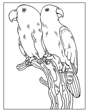 Line art hand drawn pair of cute parrots on a tree branch. Sketch for children's coloring book.のイラスト素材