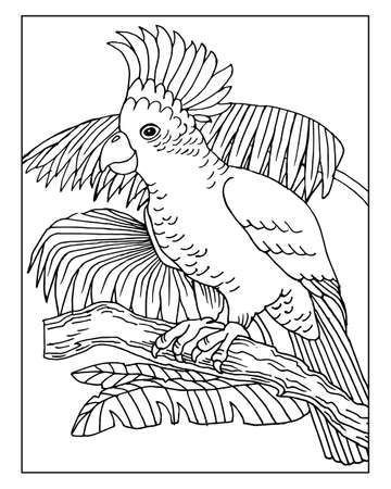 Line art hand drawn cute parrot on tropical leaves background. Sketch for children's coloring book.のイラスト素材
