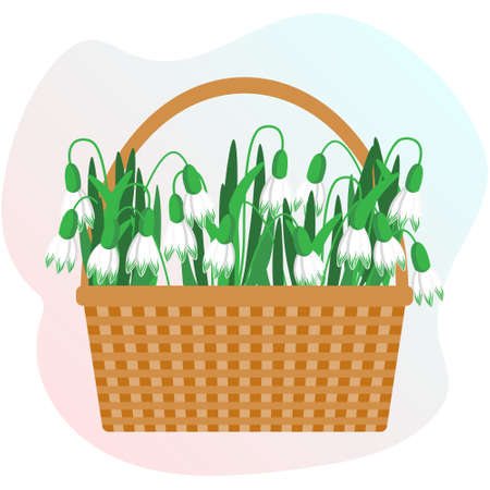 Illustration, basket with tender snowdrops,
pastel colors. Spring card, print, holiday decorのイラスト素材