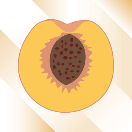 Illustration of a ripe peach in a cut on an abstract background. Fruit icon, vector.のイラスト素材