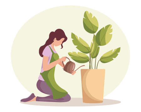 Gardening illustration, cute woman watering potted house plant on abstract background. Plant protection icon, clip art, vectorのイラスト素材