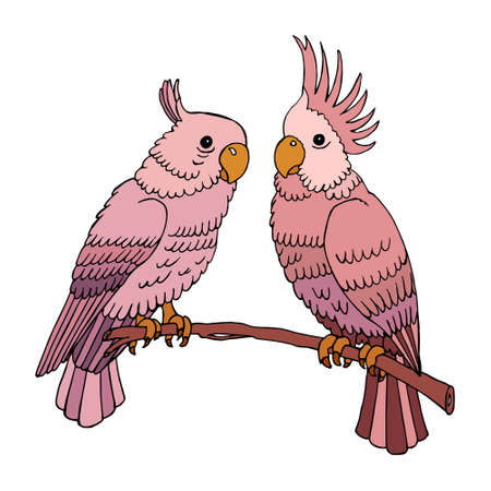 Illustration, painted colorful parrot birds in beige and pink shades on a tree branch. A couple of parrots. Print, textile, decor for pastel linen.のイラスト素材