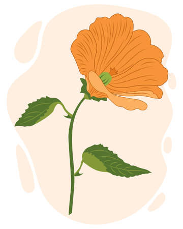 Illustration drawn orange lily flower on a stem with leaves. Print, poster, postcard, wall art, vectorのイラスト素材