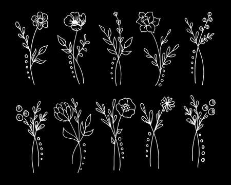 Set of hand drawn white contour flowers on a black background. Decor elements, botanical icons, printのイラスト素材