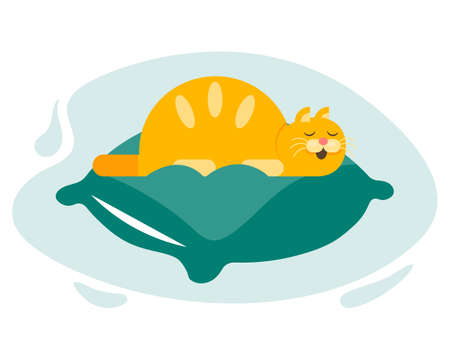 Illustration, cute sleeping funny ginger cat on pad. Print, children's cartoon illustration, clip art, vectorのイラスト素材