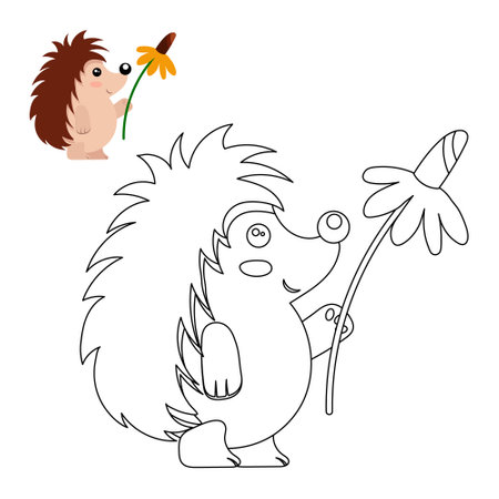 Cute hedgehog with a yellow flower in his hand, children's coloring page. Design for coloring book, illustration, print, vectorのイラスト素材