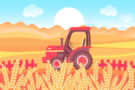 Agricultural tractor and wheat fields with ears. The concept of a farm and a rural economy. illustration, vectorのイラスト素材