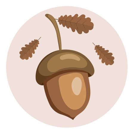 Acorn and autumn oak leaves on a beige background. Pastel colors. Print, background, postcard, vectorのイラスト素材
