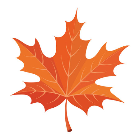 Colorful autumn maple leaf isolated on white background. Print, autumn illustration, vectorのイラスト素材
