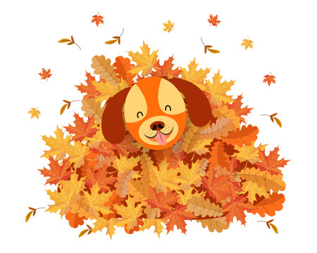 Cute funny dog in a pile of autumn leaves. Cartoon illustration for children, autumn print, vectorのイラスト素材