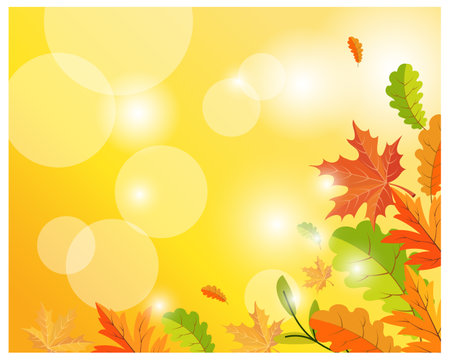 Frame with autumn maples and on a light background with sun glare. Autumn illustration, vectorのイラスト素材