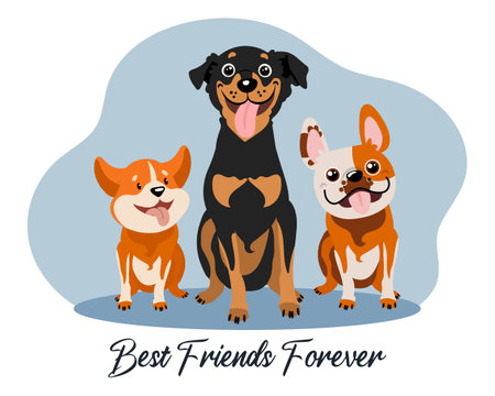 Three funny dogs, horgi, pinscher and bulldog, and text Best friends forever. cartoon illustration, vectorのイラスト素材