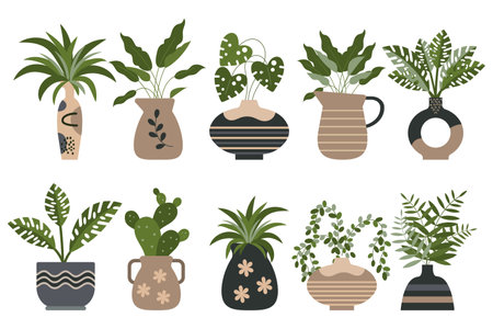 Set of tropical houseplants in vintage clay pots with ornaments. Decorative elements, icons, vectorのイラスト素材