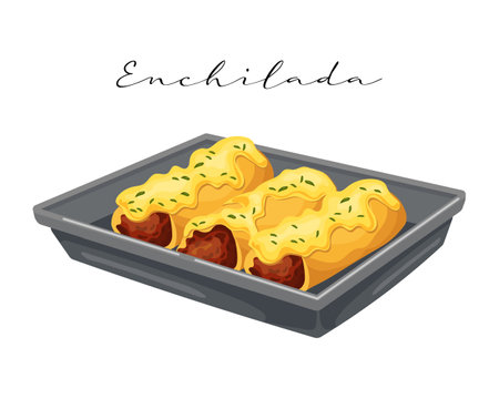 Enchilada with meat with sauce in a pan, latin american cuisine, mexican national cuisine. food illustration, vectorのイラスト素材