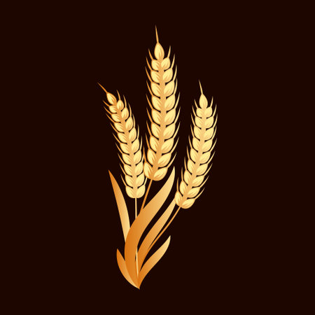 Illustration for Spikelets of wheat, rye, barley, golden design. Decor element - Royalty Free Image