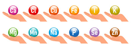 Vitamin and mineral nutrition icons set. The concept of healthcare and medicine. Healthy food infographic. Iron, calcium, magnesium, zinc, potassium, iodine, phosphorus, copper, soのイラスト素材