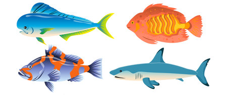 Sea fish set, shark, sea bass, dolphin, tuna. Aquarium, underwater life, vectorのイラスト素材