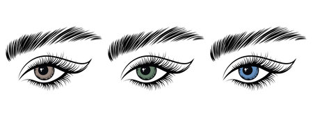 Women's eyes, icons set. The eyes are blue, green and brown. illustration, vectorのイラスト素材