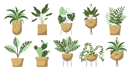 Set of indoor tropical plants in pots, hanging and floor plant pots. Plant care concept. Icons, decor elements, vectorのイラスト素材