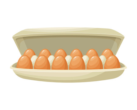 Fresh chicken eggs in a cardboard container, eggs in a box. food illustration, vectorのイラスト素材