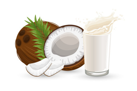 Coconut, half a coconut, pieces of coconut and a glass of milk with a splash on a white background. illustration, vectorのイラスト素材