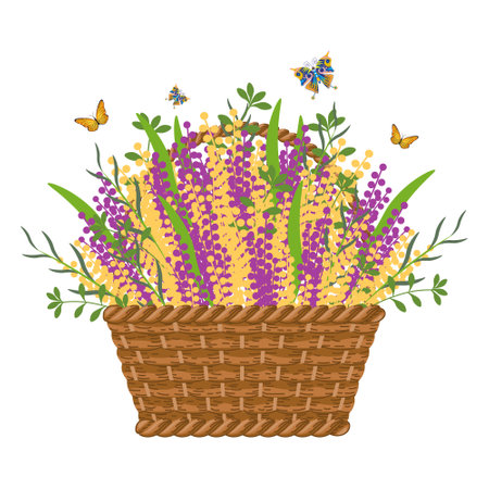 Wicker basket with wild flowers and butterflies on a white background. Illustration, poster, banner, vectorのイラスト素材