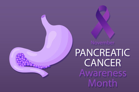 Pancreatic Cancer Awareness Month. Banner with purple ribbon and pancreas. vectorのイラスト素材