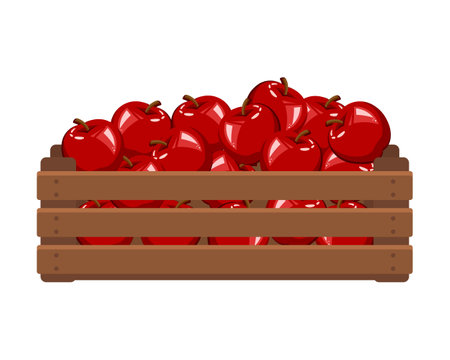 Wooden box with red apples. Healthy food, fruits, agriculture illustration, vectorのイラスト素材