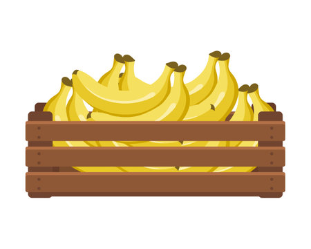 Wooden box with tropical bananas. Healthy food, fruits, agriculture illustration, vectorのイラスト素材