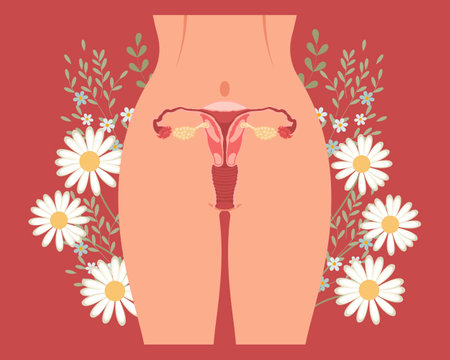 Menstrual period Landing page template. Female body, woman's groin with flowers. Woman health concept. illustration, vectorのイラスト素材