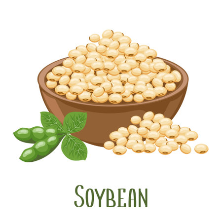 Set of soybeans. Soybean plant, soybeans in pods, in a bowl. Food, agriculture. Illustration, vectorのイラスト素材