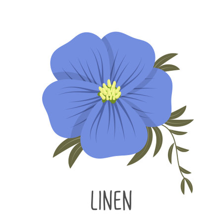 Blue flax flower on a white background. Linen color. Illustration, vectorのイラスト素材