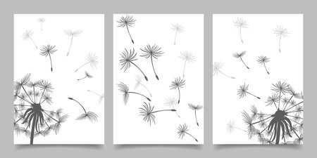 Set of cards, posters with dandelions. Black dandelion seeds fly in the wind. Collection of nature cards. Vectorのイラスト素材