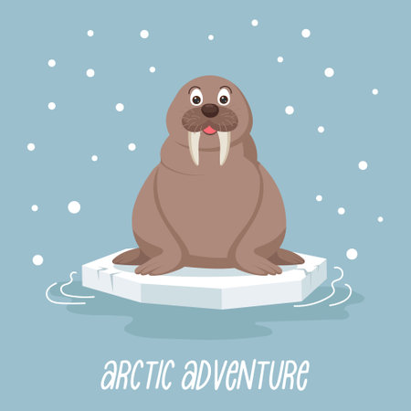 Cute baby walrus on an ice floe on a blue background with snow. Design for print, children's card, illustration. Vectorのイラスト素材