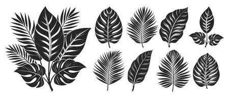 Set of silhouettes of tropical leaves and bouquets. Summer cover template. Design elements collectionのイラスト素材