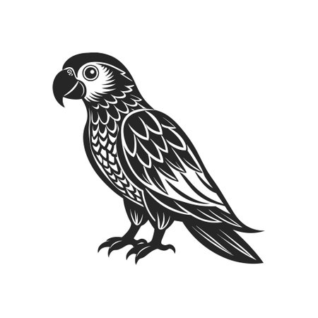 Tropical parrot bird. Black silhouette on a white background. Engraving, tattoo. Illustrationのイラスト素材