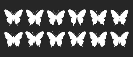 Set of luxury butterfly silhouettes. Collection of insects. Sketch, tattoo, illustration, printのイラスト素材