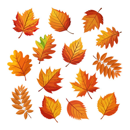 Set of colorful autumn leaves. Autumn leaves falling isolated on white background. Illustration, design elementsのイラスト素材