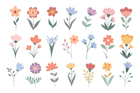 Set of cute hand drawn wild flowers. Beautiful collection of floral elements. Flat illustrationのイラスト素材
