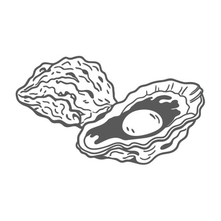 Oyster on a white background. Seafood. Black and white illustration.のイラスト素材