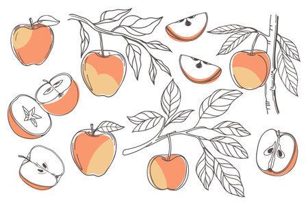 Set of hand drawn pears. Pear fruit outline set. Collection of pear sketches with colors. Illustration.のイラスト素材