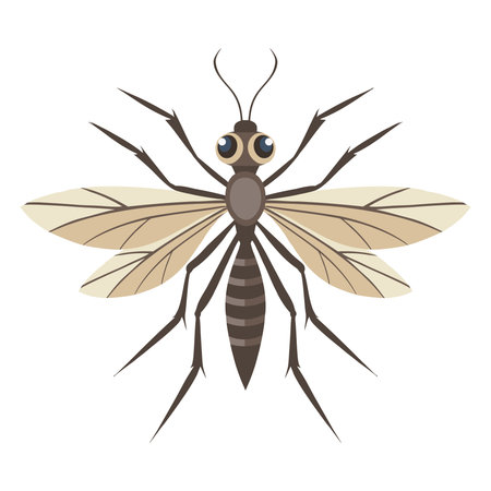 Detailed mosquito on a white background. Insect illustration.のイラスト素材