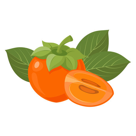 Fresh Persimmon fruit with green leaves. Tropical fruit illustration.のイラスト素材