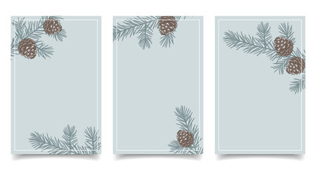 Set of cards with evergreen pine branches and cones. Christmas backgrounds.のイラスト素材