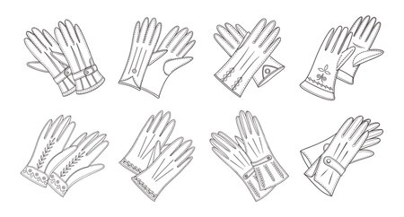 Collection of elegant vintage womens leather gloves. Line art illustration.のイラスト素材